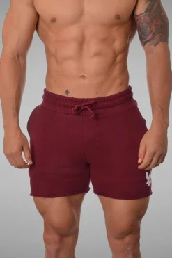 Youngla 102 Bodybuilding French Terry Shorts<Men Shorts